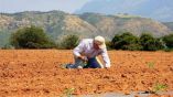 e-&Epsilon;&Phi;&Kappa;&Alpha;: &Alpha;&nu;ά&rho;&tau;&eta;&sigma;&eta; &epsilon;&iota;&delta;&omicron;&pi;&omicron;&iota;&eta;&tau;&eta;&rho;ί&omega;&nu; &alpha;&sigma;&phi;&alpha;&lambda;&iota;&sigma;&tau;&iota;&kappa;ώ&nu; &epsilon;&iota;&sigma;&phi;&omicron;&rho;ώ&nu; &alpha;&gamma;&rho;&omicron;&tau;ώ&nu; &kappa;&alpha;&iota; &epsilon;&lambda;&epsilon;ύ&theta;&epsilon;&rho;&omega;&nu; &epsilon;&pi;&alpha;&gamma;&gamma;&epsilon;&lambda;&mu;&alpha;&tau;&iota;ώ&nu; &Alpha;&upsilon;&gamma;&omicron;ύ&sigma;&tau;&omicron;&upsilon; 2021
