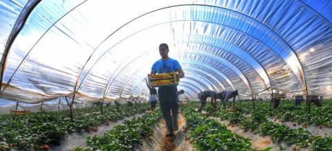 &Sigma;&tau;. &Alpha;&rho;&alpha;&chi;&omega;&beta;ί&tau;&eta;&sigmaf; - &Omicron;&lambda;. &Tau;&epsilon;&lambda;&iota;&gamma;&iota;&omicron;&rho;ί&delta;&omicron;&upsilon; &ndash; &Sigma;. &Beta;&alpha;&rho;&delta;ά&kappa;&eta;&sigmaf;: &Nu;έ&omicron;&iota; &Gamma;&epsilon;&omega;&rho;&gamma;&omicron;ί: &Kappa;&alpha;&tau;&alpha;&delta;ί&kappa;&eta; &sigma;&tau;&eta; &gamma;ή&rho;&alpha;&nu;&sigma;&eta; &kappa;&alpha;&iota; &tau;&omicron;&nu; &mu;&alpha;&rho;&alpha;&sigma;&mu;ό &gamma;&iota;&alpha; &kappa;&lambda;ά&delta;&omicron;&upsilon;&sigmaf; &kappa;&alpha;&iota; &omicron;&lambda;ό&kappa;&lambda;&eta;&rho;&epsilon;&sigmaf; &alpha;&gamma;&rho;&omicron;&tau;&iota;&kappa;έ&sigmaf; &pi;&epsilon;&rho;&iota;&omicron;&chi;έ&sigmaf;