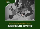 &Alpha;&pi;&omicron;&sigma;&tau;&omicron;&lambda;ή &kappa;&alpha;&iota; &mu;&epsilon;&tau;&alpha;&phi;&omicron;&rho;ά &tau;&omega;&nu; &delta;&epsilon;&nu;&delta;&rho;&upsilon;&lambda;&lambda;ί&omega;&nu; &sigma;&epsilon; &Epsilon;&lambda;&lambda;ά&delta;&alpha; &alpha;&lambda;&lambda;ά &kappa;&alpha;&iota; &epsilon;&xi;&omega;&tau;&epsilon;&rho;&iota;&kappa;ό &alpha;&pi;ό &tau;&eta;&nu; Milis plant nurseries - &Phi;&upsilon;&tau;ώ&rho;&iota;&alpha; &Mu;ί&lambda;&eta;&sigmaf;