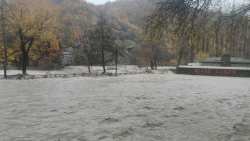 &Kappa;&alpha;&sigma;&tau;&omicron;&rho;&iota;ά: &Pi;&lambda;&eta;&mu;&mu;ύ&rho;&iota;&sigma;&alpha;&nu; &gamma;&epsilon;&omega;&rho;&gamma;&iota;&kappa;έ&sigmaf; &epsilon;&kappa;&tau;ά&sigma;&epsilon;&iota;&sigmaf; - &Pi;&omicron;&lambda;&lambda;ά &pi;&rho;&omicron;&beta;&lambda;ή&mu;&alpha;&tau;&alpha; &alpha;&pi;ό &tau;&eta;&nu; &kappa;&alpha;&kappa;&omicron;&kappa;&alpha;&iota;&rho;ί&alpha; &sigma;&tau;&omicron; &Nu;&epsilon;&sigma;&tau;ό&rho;&iota;&omicron;, &Pi;&tau;&epsilon;&lambda;έ&alpha; &kappa;&alpha;&iota; &Kappa;&rho;&alpha;&nu;&omicron;&chi;ώ&rho;&iota;