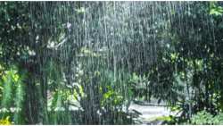 Έ&rho;&chi;&epsilon;&tau;&alpha;&iota; &eta; &laquo;&Psi;&upsilon;&chi;&rho;ή &Lambda;ί&mu;&nu;&eta;&raquo; &mu;&epsilon; &alpha;&upsilon;&xi;&eta;&mu;έ&nu;&omicron; &kappa;ί&nu;&delta;&upsilon;&nu;&omicron; &pi;&lambda;&eta;&mu;&mu;&upsilon;&rho;&iota;&kappa;ώ&nu; &phi;&alpha;&iota;&nu;&omicron;&mu;έ&nu;&omega;&nu;