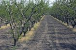 &Eta; &alpha;&pi;&epsilon;&iota;&lambda;ή &gamma;&iota;&alpha; &tau;&eta;&nu; &alpha;&pi;ό&delta;&omicron;&sigma;&eta; &tau;&omega;&nu; &kappa;&alpha;&lambda;&lambda;&iota;&epsilon;&rho;&gamma;&epsilon;&iota;ώ&nu; &kappa;&alpha;&iota; &omicron;&iota; &tau;&rho;ό&pi;&omicron;&iota; &alpha;&nu;&tau;&iota;&mu;&epsilon;&tau;ώ&pi;&iota;&sigma;&eta;&sigmaf;