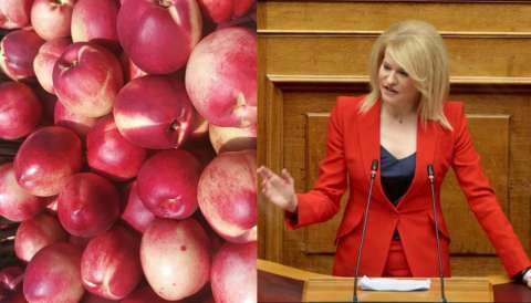 &Tau;&rho;&iota;&pi;&lambda;&alpha;&sigma;&iota;&alpha;&sigma;&mu;ό &tau;&omicron;&upsilon; &pi;&omicron;&sigma;&omicron;ύ &tau;&omega;&nu; 26,3 &epsilon;&kappa;. &epsilon;&upsilon;&rho;ώ (&Alpha;&pi;&omicron;&theta;&epsilon;&mu;&alpha;&tau;&iota;&kappa;ό &kappa;&rho;ί&sigma;&eta;&sigmaf;) &kappa;&alpha;&iota; &epsilon;&nu;ί&sigma;&chi;&upsilon;&sigma;&eta; ό&lambda;&omega;&nu; &tau;&omega;&nu; &alpha;&gamma;&rho;&omicron;&tau;ώ&nu; &tau;&omicron;&upsilon; &tau;&omicron;&mu;έ&alpha; &Omicron;&pi;&omega;&rho;&omicron;&kappa;&eta;&pi;&epsilon;&upsilon;&tau;&iota;&kappa;ώ&nu; &zeta;&eta;&tau;ά &eta; &Tau;&zeta;ά&kappa;&rho;&eta;