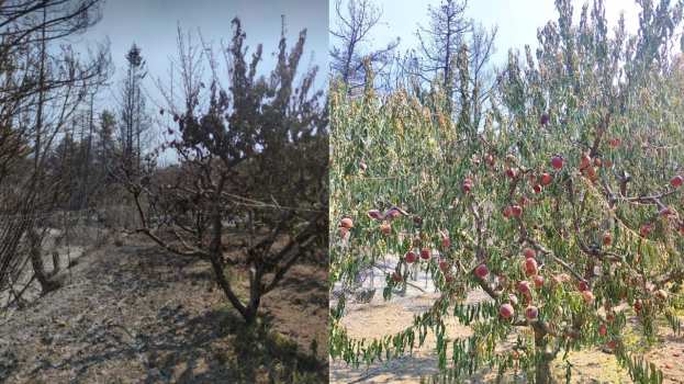 Έ&nu;&tau;&omicron;&nu;&eta; &alpha;&nu;&eta;&sigma;&upsilon;&chi;ί&alpha; &kappa;&alpha;&iota; &delta;&upsilon;&sigma;&alpha;&rho;έ&sigma;&kappa;&epsilon;&iota;&alpha; &tau;&omega;&nu; &pi;&alpha;&rho;&alpha;&gamma;&omega;&gamma;ώ&nu; &tau;&eta;&sigmaf; &Rho;ό&delta;&omicron;&upsilon; - &Phi;&omicron;&beta;&omicron;ύ&nu;&tau;&alpha;&iota; &gamma;&iota;&alpha; ά&delta;&iota;&kappa;&epsilon;&sigmaf; &alpha;&pi;&omicron;&zeta;&eta;&mu;&iota;ώ&sigma;&epsilon;&iota;&sigmaf; &alpha;&pi;ό &tau;&iota;&sigmaf; &zeta;&eta;&mu;&iota;έ&sigmaf; &tau;&omega;&nu; &pi;&upsilon;&rho;&kappa;&alpha;&gamma;&iota;ώ&nu;