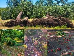 &Sigma;&epsilon; &alpha;&pi;ό&gamma;&nu;&omega;&sigma;&eta; &omicron;&iota; &pi;&alpha;&rho;&alpha;&gamma;&omega;&gamma;&omicron;ί &sigma;&tau;&eta;&nu; &Eta;&mu;&alpha;&theta;ί&alpha; &mu;&epsilon;&tau;&rho;&omicron;ύ&nu; &tau;&iota;&sigmaf; &pi;&lambda;&eta;&gamma;έ&sigmaf; &tau;&omicron;&upsilon;&sigmaf; &alpha;&pi;ό &tau;&eta;&nu; &alpha;&nu;&epsilon;&mu;&omicron;&theta;ύ&epsilon;&lambda;&lambda;&alpha; - IMATHIOTIKIGI.GR