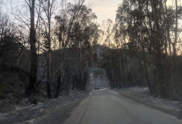 &Sigma;&upsilon;&gamma;&kappa;&rho;&omicron;&tau;ή&theta;&eta;&kappa;&alpha;&nu; &epsilon;&pi;&iota;&tau;&rho;&omicron;&pi;έ&sigmaf; &kappa;&alpha;&tau;&alpha;&gamma;&rho;&alpha;&phi;ή&sigmaf; &zeta;&eta;&mu;&iota;ώ&nu; &alpha;&pi;ό &tau;&iota;&sigmaf; &pi;&upsilon;&rho;&kappa;&alpha;&gamma;&iota;έ&sigmaf; &sigma;&tau;&iota;&sigmaf; &Pi;.&Epsilon;. &Alpha;&rho;&kappa;&alpha;&delta;ί&alpha;&sigmaf;, &Lambda;&alpha;&kappa;&omega;&nu;ί&alpha;&sigmaf; &kappa;&alpha;&iota; &Mu;&epsilon;&sigma;&sigma;&eta;&nu;ί&alpha;&sigmaf;