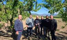 Πρωτοβουλίες της Περιφέρειας για την εκτεταμένη καρπόπτωση και ξήρανση δενδρωδών καλλιεργειών