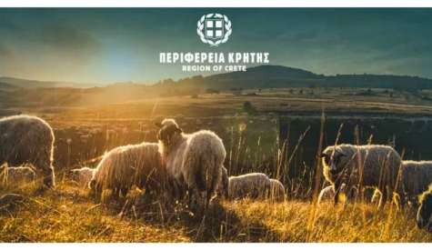 Παρατείνονται τα προληπτικά μέτρα για την ευλογιά των αιγοπροβάτων στην Κρήτη