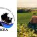 ΑΚΚΕΛ: Η Ελλάδα χάνει τους αγρότες της, η εγκατάλειψη του πρωτογενούς τομέα επιταχύνεται
