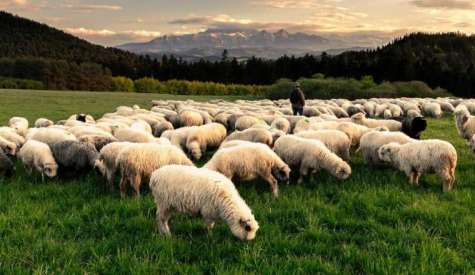 ΥφΑΑΤ, Μ. Λαζαρίδης: Το ΠΑΣΟΚ καταψήφισε τη στήριξη των κτηνοτρόφων που πλήττονται από τον αφθώδη πυρετό