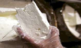 Άμεση αναχώρηση των γαλακτοκομικών προϊόντων ώστε να επαναλειτουργήσουν τα τυροκομεία, ζητούν οι τυροκόμοι της Λέσβου