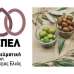 Δύο κρίσιμα ζητήματα του κλάδου της επιτραπέζιας ελιάς απαιτούν άμεσες και αποτελεσματικές παρεμβάσεις από το αρμόδιο ΥΠΑΑΤ και την Πολιτεία