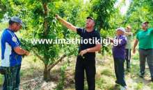 Ενωτική Ομοσπονδία Αγροτικών Συλλόγων Ημαθίας: Εργάτες γης και βιοπαλαιστές αγρότες στον ίδιο αγώνα για αξιοπρεπή ζωή