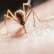 Ανακοίνωση σχετικά με την έναρξη του έργου καταπολέμησης κουνουπιών στην Περιφέρεια Κεντρικής Μακεδονίας