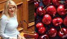 Ερώτηση Τζάκρη προς τον ΥπΑΑΤ για την εκτίμηση της ζημιάς στην κερασοκαλλιέργεια εξαιτίας των βροχοπτώσεων