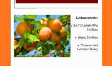 Ενημερωτική ημερίδα για την καλλιέργεια της βερικοκιάς στην Περιφερειακή Ενότητα Πέλλας