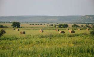ΑΑΔΕ-myAGRO: Aπλουστεύσεις στην υποβολή της Ενιαίας Αίτησης Ενίσχυσης - Σε διαρκή επικοινωνία με ΕΘΕΑΣ και ΓΕΩΤΕΕ