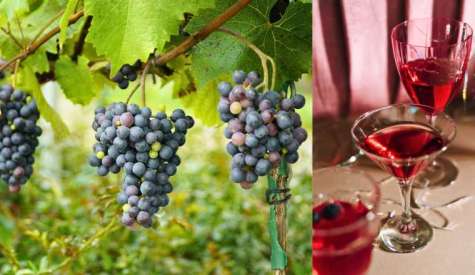 ΚΕΟΣΟΕ: Οι καλές ειδήσεις διαδέχονται η μία την άλλη για τις εξαγωγές οίνου, επαναλαμβάνονται όμως οι «συμφορές» για τη γεωργία με την εμπορική συμφωνία με την Αυστραλία;