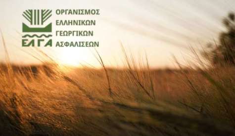 ΕΛΓΑ: έως 19 Οκτωβρίου οι δηλώσεις για τις ζημιές στο Οροπέδιο Λασιθίου