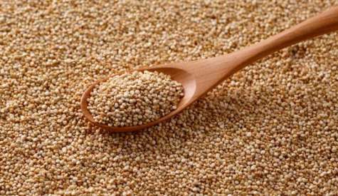 Κινόα: Ποιες οι πιο σημαντικές καλλιεργητικές πρακτικές και απαιτήσεις της καλλιέργειας