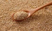 Κινόα: Ποιες οι πιο σημαντικές καλλιεργητικές πρακτικές και απαιτήσεις της καλλιέργειας