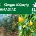 Αποσπασματικές κινήσεις μπροστά σε συνολικά προβλήματα - Ώρα για πραγματική στήριξη της αγροτιάς