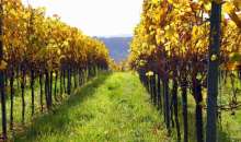 Εκδήλωση για τα 75 χρόνια της ΚΕΟΣΟΕ