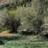 Νότιο Αιγαίο: Στα αγροκτήματα των νησιών οι μαθητές