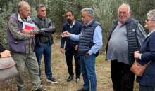 Αυτοψία της Περιφέρειας Θεσσαλίας σε ελαιοπαραγωγικές περιοχές του Δήμου Αλμυρού